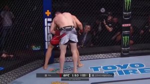 Петр Ян vs Мераб Двалишвили UFC FIGHT NIGHT 71