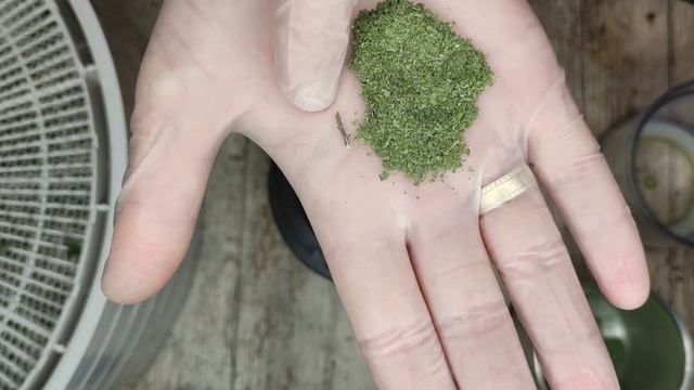 МЯТНЫЙ ПОРОШОК смотреть онлайн