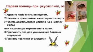 Правила поведения детей в летних лагерях