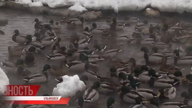 Родники в цифре. Электронный атлас источников смотреть онлайн