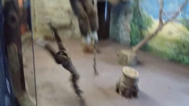 Символ 2016 года смотреть онлайн