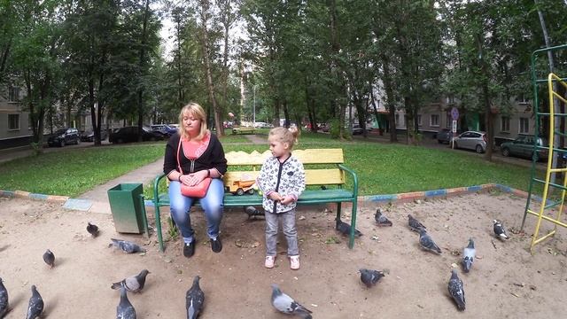 Кормим орехами смотреть онлайн