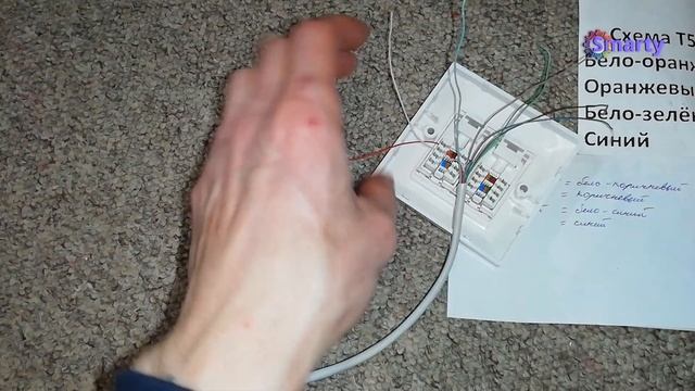 RJ45 двойная розетка с одним проводом смотреть онлайн