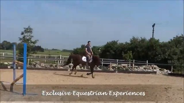 235 Or B / 8 yo 125 jumper смотреть онлайн