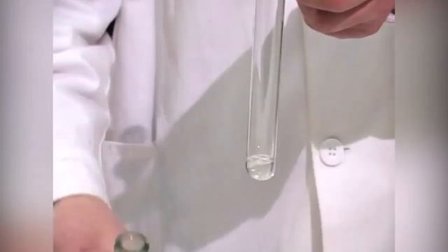 Свойства и биологическое значение белков  11 класс