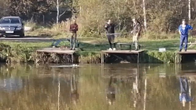 Светлые Горы Форель4 30.09.2023г. смотреть онлайн