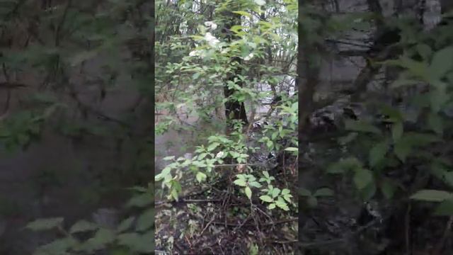 Результат прорыва плотины смотреть онлайн