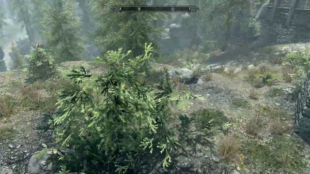 TES 5 Skyrim Секретный сундук караванщиков под Солитьюдом.