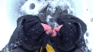 ЛУЧШАЯ НАСАДКА на РОТАНА! Подводное видео. Ловля РОТАНА зимой. Поклевки ротана