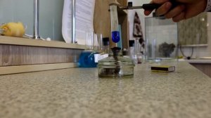 Общие свойства углеводов. Реактив Фелинга, Фруктоза, Сахароза, Крахмал.