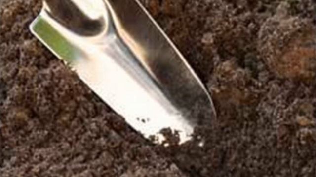 Баклажаны выращивание и уход в открытом грунте смотреть онлайн