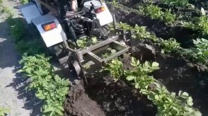 Самодельный минитрактор переломка с окучниками