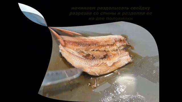 Фотография Моды и Глянцевых Журналов