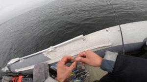 Как поймать судака поздней осенью/Рыбалка на Ср.Волге/Ловля на мандулу/Как выглядит судак на эхолот