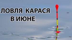Ловля карася.Рыбалка на поплавок