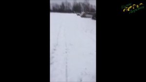 Где же люди на селе