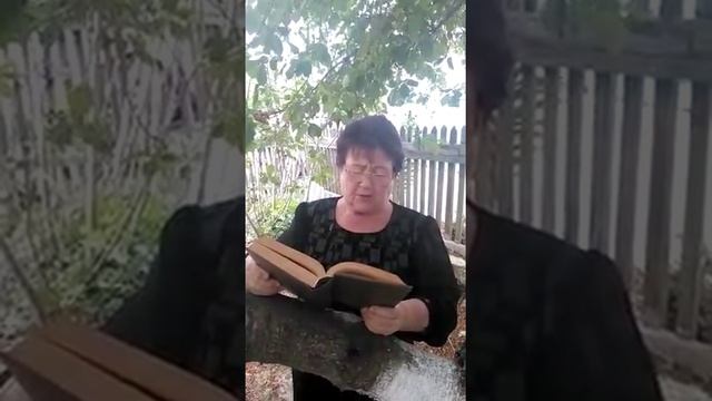 Читаем Пушкина "К Чаадаеву" смотреть онлайн