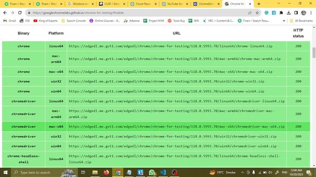 How To Download Chromedriver For Selenium For Windows 64 Bit смотреть онлайн