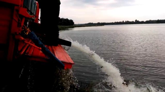 Запуск рыбы. Очередной запуск рыбы в пруд Машкино Конышевского района Курской области.07.07.2015. смотреть онлайн