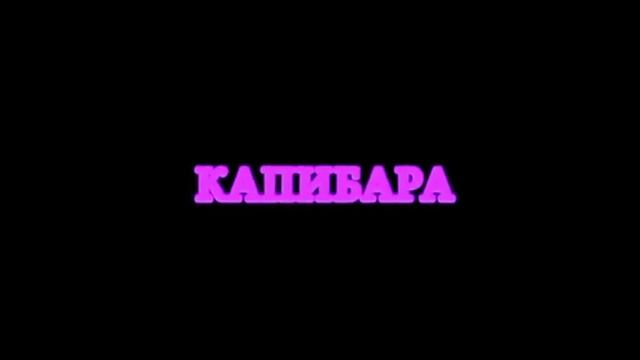 «Капибара» тизер номер 3 смотреть онлайн