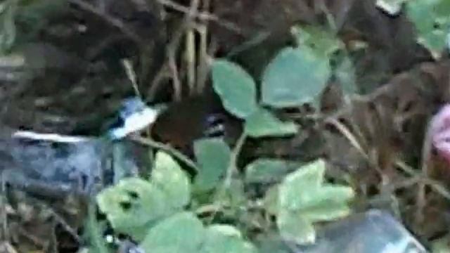 Семёновка отдых на реке Съезжая .wmv смотреть онлайн