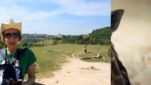 Пражский зоопарк. Прогулки по зоопарку в Праге смотреть онлайн