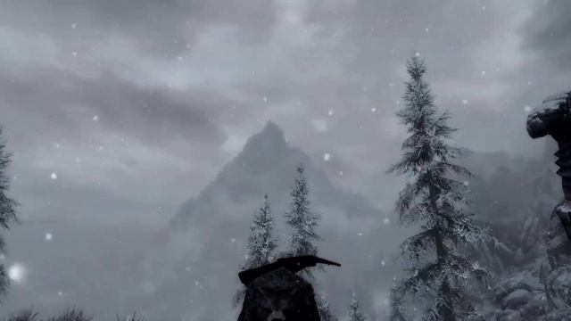 Skyrim. BeArserk.