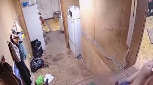 Пьяные падают с лестницы