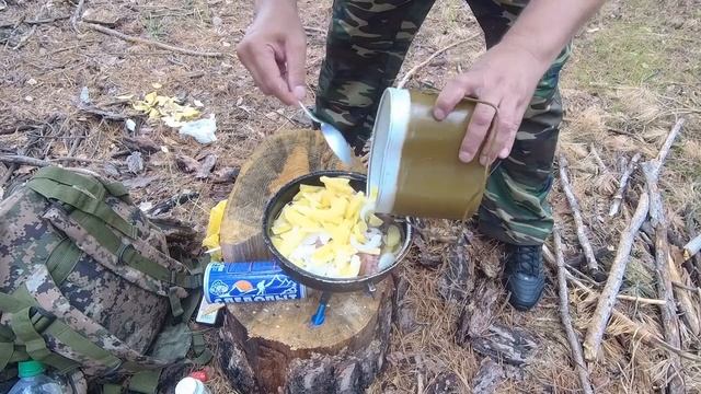 ПВД в лес. Завтрак в лесу. Сосновые шишки на сироп))) смотреть онлайн
