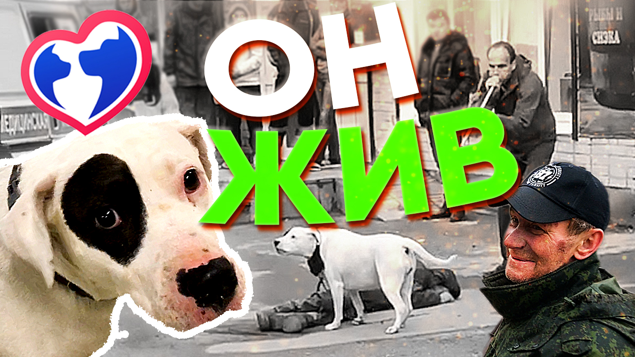 Спас человека и собаку. Работа "ловца"