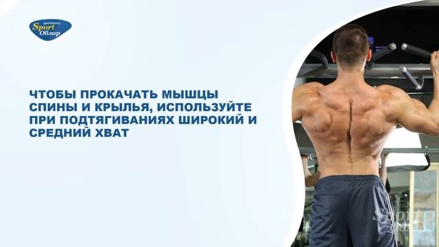 Как увеличить количество подтягиваний с 0 до 82 смотреть онлайн