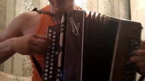 Девочка пай на гармони.