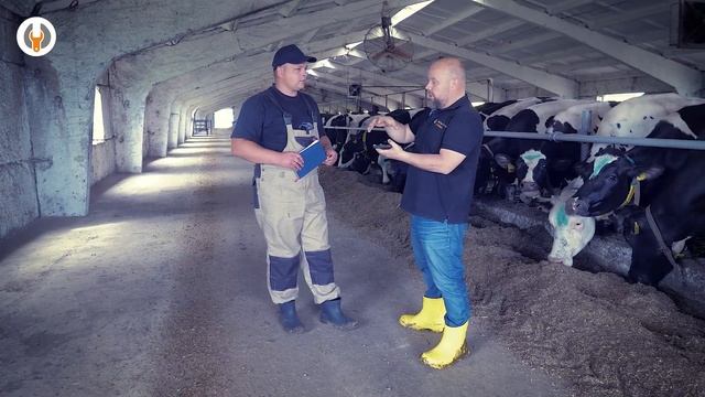 Аудит и замер напольного покрытия на молочной ферме | Для нарезки швов смотреть онлайн