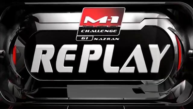 Marcin Tybura (Poland) Vs Ante Delija (Croatia) KNOCKOUT,  MMA Fight, HD