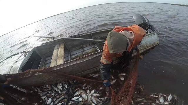 Ловля рыбы бреднем (неводом) смотреть онлайн