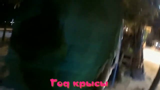 С наступающим 2021 годом!Гимн уходящего года крысы!ДДТ! смотреть онлайн