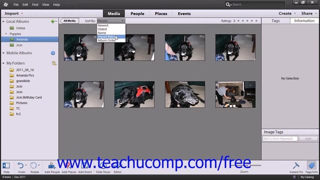 Photoshop Elements 12 Tutorial Sorting Images Adobe Training Lesson 2.18 смотреть онлайн