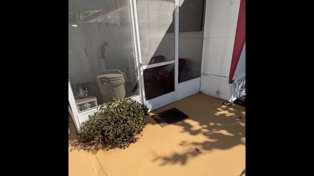 Palm And Pines Mobile Home Park (Nokomis Florida) смотреть онлайн