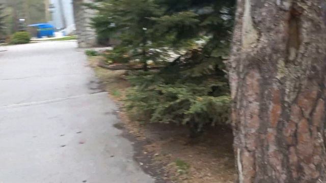 СТРАШНАЯ ТАХИКАРДИЯ,НО ЖИТЬ НАДО И НАДО ДООБСЛЕДОВАТЬСЯ! смотреть онлайн