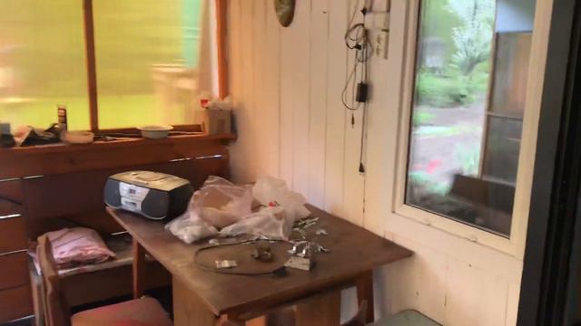 Встреча с Котом спустя несколько месяцев смотреть онлайн