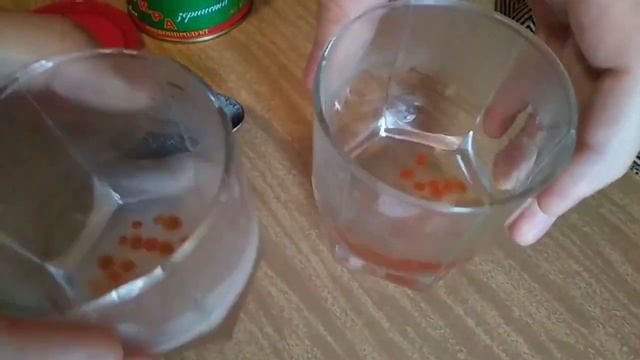 ЭКСПЕРИМЕНТ/Как ОТЛИЧИТЬ Настоящую Красную ИКРУ от Подделки??!! смотреть онлайн