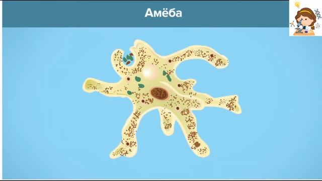 Простейшие смотреть онлайн