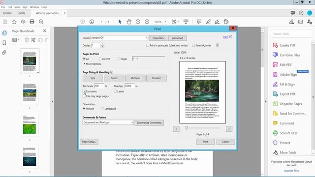 How to print poster size in pdf using Adobe Acrobat Pro DC смотреть онлайн