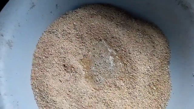 Первый день нового года и эксперимента с содой для кур🌸 Гусь чистюля смотреть онлайн