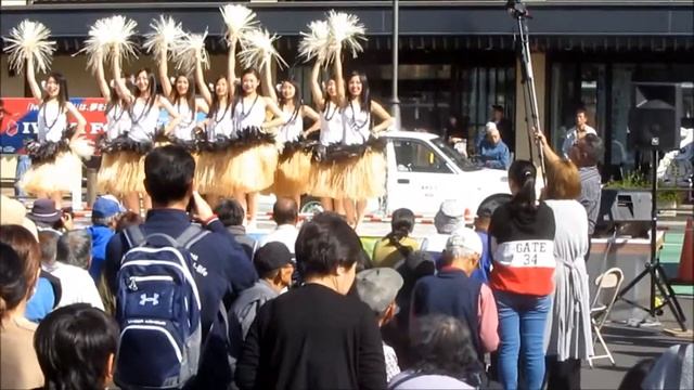 HAWIIAN Dance Routine: Yumoto, Japan Festival.