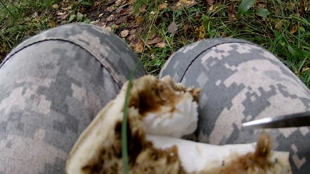 КОГДА И ГДЕ СОБИРАТЬ ОПЯТА ЛЕТНИЕ ОСЕННИЕ смотреть онлайн