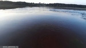 Жерех на сбирулино (бомбарду)