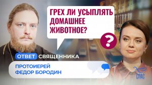 ГРЕХ ЛИ УСЫПЛЯТЬ ДОМАШНЕЕ ЖИВОТНОЕ?