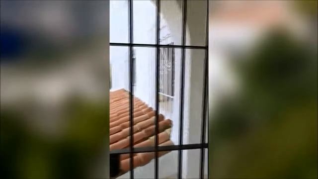 Вилла в природном парке Серро-Гордо смотреть онлайн