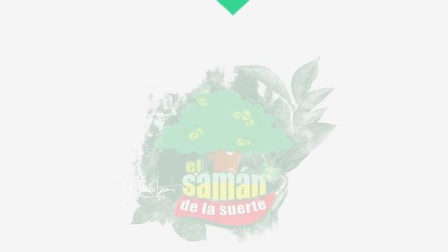 Resultados del Chance del Jueves 15 de Febrero de 2024 Loterias 😱🤑💰💵 смотреть онлайн